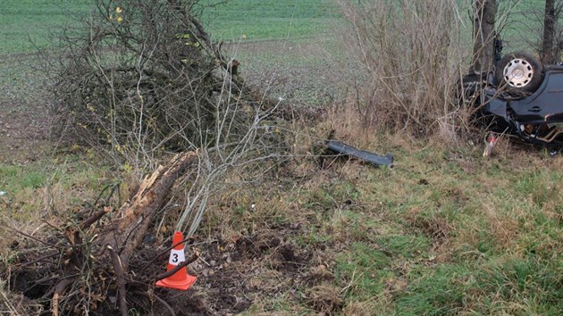 idi vyjel v zatce ze silnice, narazil do ovocnch stromu a skonil s autem na stee v pkopu.