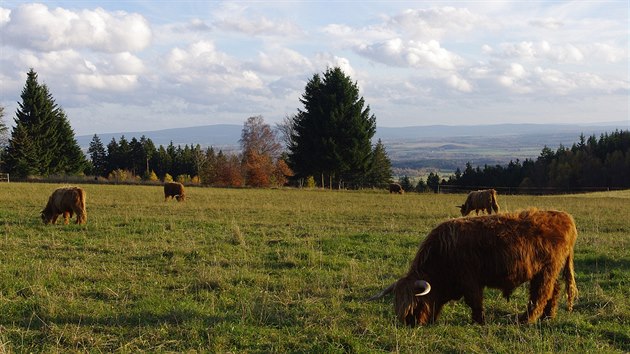 Haltrovsk hory pod Kapellenbergem