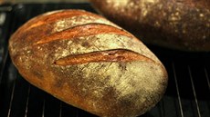 Český řemeslný chleba se odlišuje tmavší kůrkou než průmyslově vyráběné... Český řemeslný chleba se odlišuje tmavší kůrkou než průmyslově vyráběné...
