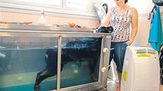 Natálie Jägrová při rehabilitaci jednoho ze svých svěřenců na veterinární... Natálie Jägrová při rehabilitaci jednoho ze svých svěřenců na veterinární...