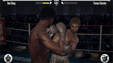 Real Boxing