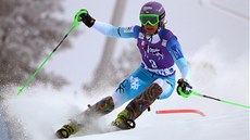 árka Strachová ve slalomu v Levi.