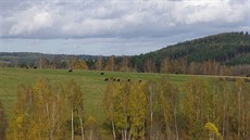 Krajina Smrin u Dolních Pasek