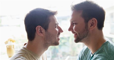 Homosexualita prospívá spoleenské soudrnosti, tvrdí vdci.