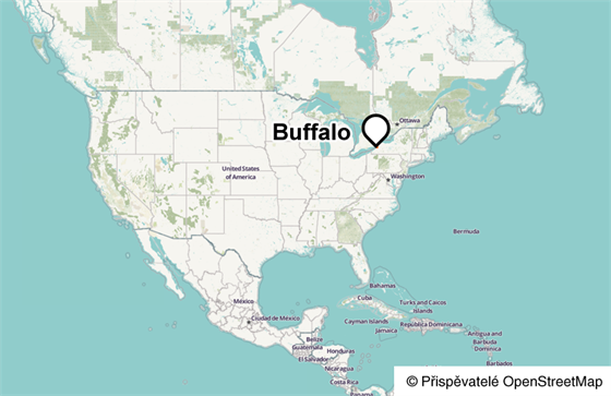 Buffalo (USA)