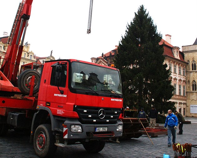 Stavní stromu na Staromstském námstí