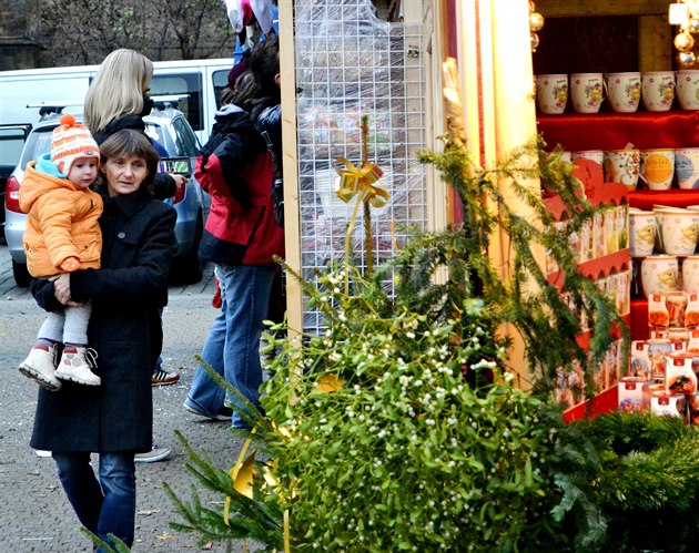 Dnením dnem byly zahájeny vánoní trhy na námstí Míru v Praze 2. Ped kostelem svaté Ludmily vyrostlo 75 stánk, které nabízejí devné výrobky, vánoní perníky, staroeský trdelník, vánoní ozdoby, keramické betlémy, umlecké perky a dalí zboí. Nec