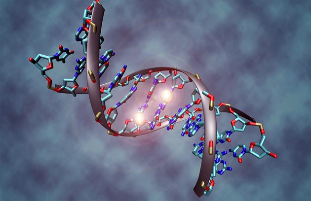 Ilustrace DNA, která zvýrazňuje tzv. metylaci DNA. To je připojení malé... Ilustrace DNA, která zvýrazňuje tzv. metylaci DNA. To je připojení malé...