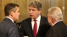 Nový primátor Brna Petr Vokál hovoí ped zastupiteli.