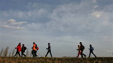 Rokytnice plánuje už na příští sezonu zprovoznit tři až pět různě obtížných... Rokytnice plánuje už na příští sezonu zprovoznit tři až pět různě obtížných...