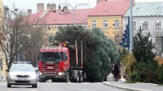 Vánoní strom za asistence policejního vozu vjídí na Masarykovo námstí.