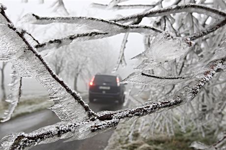 Od pondlí kvli námraze popadaly na Vysoin stovky strom.