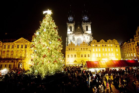 Vánoní strom v centru Prahy
