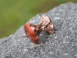 Pamtnk Jry Cimrmana - okousan jablko z bronzu - je dlem eskobudjovickho...