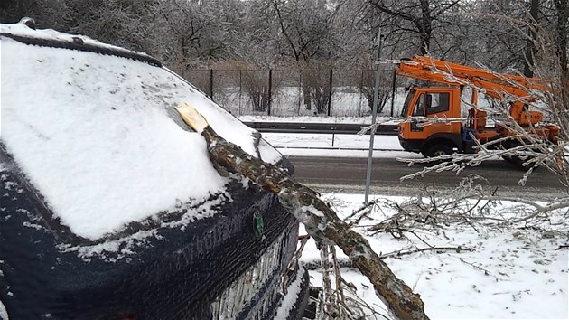 Ledovka v Perov lmala stromy a niila drty elektrickho veden