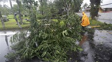 Tajfun Hagupit na Filipínách porážel stromy a ničil obydlí. Tajfun Hagupit na Filipínách porážel stromy a ničil obydlí.