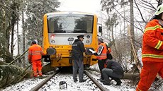 Osobní vlak narazil do spadlého stromu na elezniní trati u Radovic na...