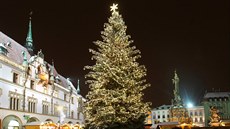 Vánoní strom v centru Olomouce