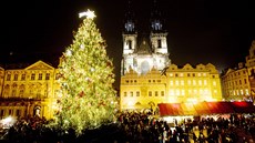Vánoní strom v centru Prahy