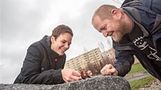 Památník Járy Cimrmana - okousané jablko z bronzu - je v Českých Budějovicích... Památník Járy Cimrmana - okousané jablko z bronzu - je v Českých Budějovicích...