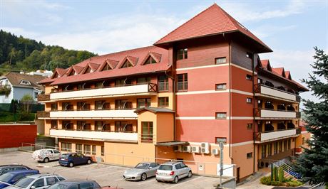 Klinika sídlí v hotelu Ambra v Luhaovicích.