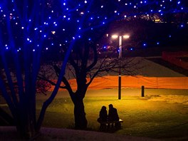 RANDE. Park v centru Tokia se ped Vánoci rozzáil v odstínech modré. V...