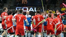 etí florbalisté slaví gól proti Finsku v semifinále mistrovství svta.