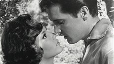 Mary Ann Mobleyová s Elvisem Presleym ve filmu Girl Happy. Mary Ann Mobleyová s Elvisem Presleym ve filmu Girl Happy.