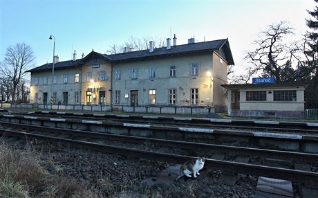 Aby se lidé ze Stare dostali vlakem napíklad do Tebíe nebo do Brna, musí nejprve dojít na tuto stanici na trase Znojmo - Okíky a práv v Okíkách pestoupit. Stanice spí skomírá.