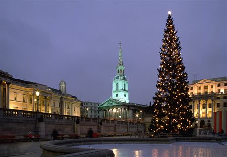 Londn, vnon strom na Trafalgar Square