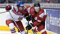 eský hokejista David Kae bojuje o puk se výcarem Hischierem v utkání MS...