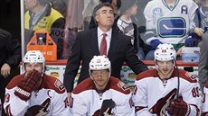 JE ZLE. Kouč Arizony Dave Tippett naštvaně sleduje velkoplošnou obrazovku,... JE ZLE. Kouč Arizony Dave Tippett naštvaně sleduje velkoplošnou obrazovku,...