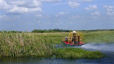 Národní park Everglades je proslulý poetnou populací aligátor.