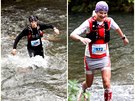 Kmen Salomon v přirozeném biotopu Kmen Salomon v přirozeném biotopu