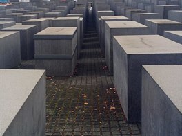 Mezi ulicemi Cora Berliner Strasse a Ebertstrasse byl ped deseti lety postaven...