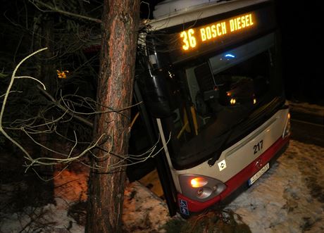 Autobus MHD v Jihlav dostal na vozovce smyk a sjel ze silnice. Pi nehod se...