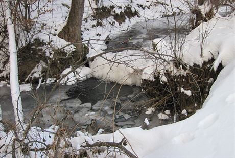 ásten zamrzlý potok ve vsetínské ásti Jasenice, do nho se dívka propadla.