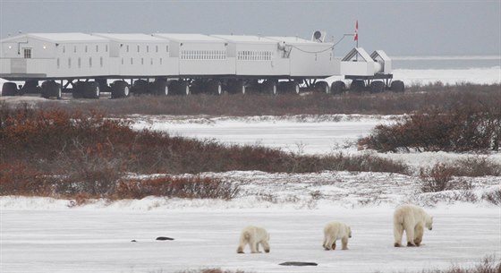 Hotel The Tundra Lodge Rolling jezdí v Manitob v Kanad.