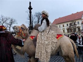 Tíkrálový prvod