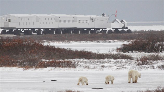 Hotel The Tundra Lodge Rolling jezd v Manitob v Kanad.