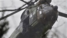 Policejní zátah ve městě Dammartin-en-Goële severně od Paříže (9. ledna 2015) Policejní zátah ve městě Dammartin-en-Goële severně od Paříže (9. ledna 2015)