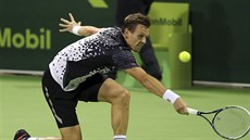 Tomáš Berdych na turnaji v Dauhá. Tomáš Berdych na turnaji v Dauhá.