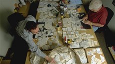 Rekonstrukce roztrhaných dokumentů německé tajné policie Stasi dosud probíhala... Rekonstrukce roztrhaných dokumentů německé tajné policie Stasi dosud probíhala...
