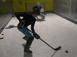 Uml plocha se syntetickm ledem pro ncvik hokejovch dovednost