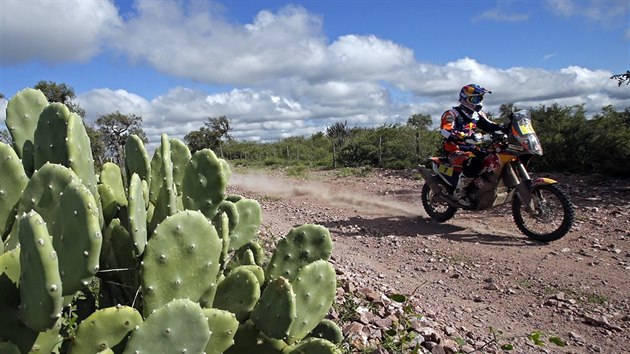 MEZI KAKTUSY. Marc Coma popt zvtzil v Rallye Dakar.