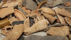 Cenné objevy, které objevili archeologové na Zelném trhu v Brn.
