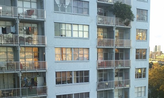Ve výkových budovách v Sydney bydlí v jednom byt o dvou lonicích 10 a 12...