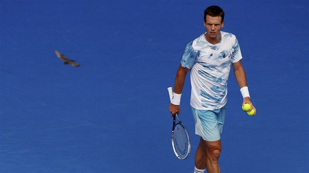 NEEKAN ROZPTLEN. Tom Berdych jde na servis a pozoruje ptka.