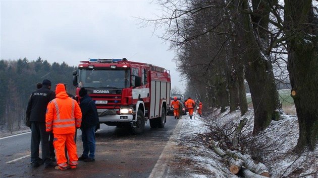 Na dlnka nedalo evniova na Rakovnicku spadla vtev, zrannm podlehl (23. ledna 2015).