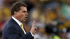 Ange Postecoglou, trenér australských fotbalist